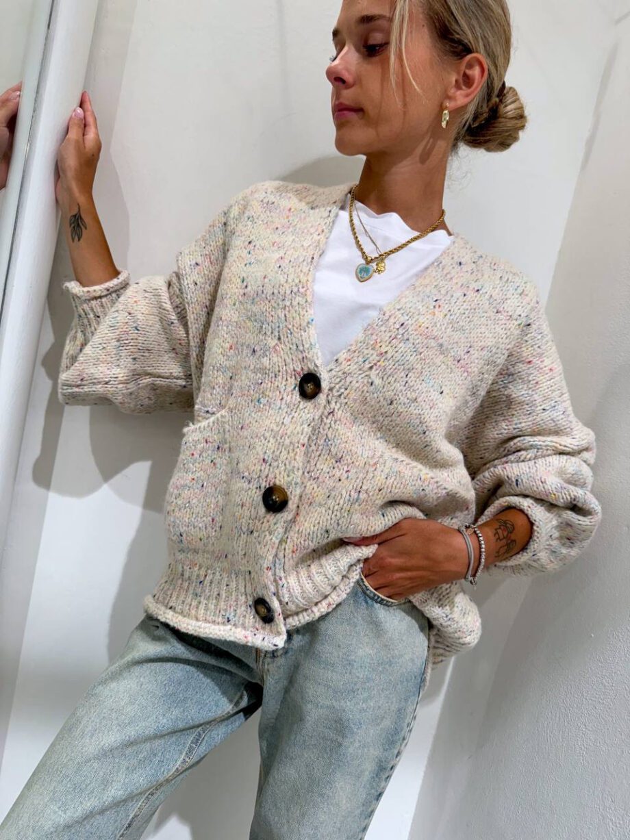 Shop Online Cardigan over in maglia beige mélange colorato HaveOne