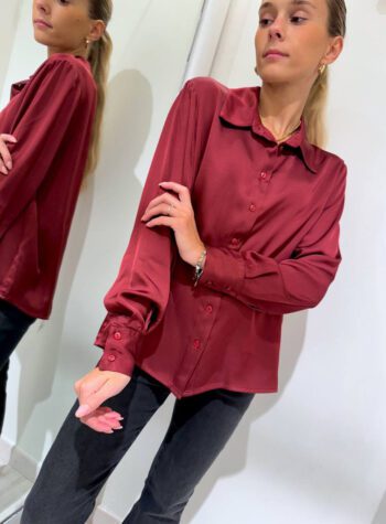 Shop Online Camicia vino in viscosa HaveOne